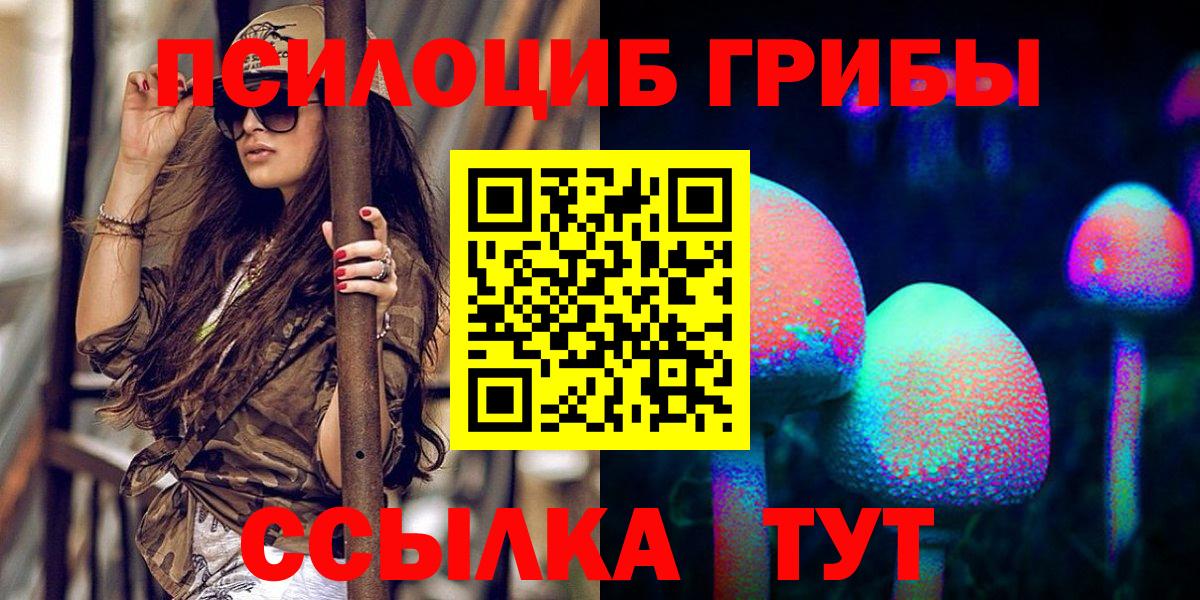 Галлюциногенные грибы мицелий  Галлюциногенные грибы Psilocybine cubensis  где купить наркоту  Вход с VPN  Трёхгорный 